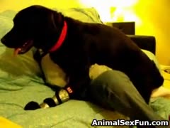 Deep into a senior whore's cock-starved fuck hole, a large black dog is going balls.